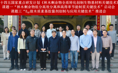 林木剩余物全質轉化創制生物基材料關鍵技術研發項目啟動，助力綠色低碳產業鏈升級