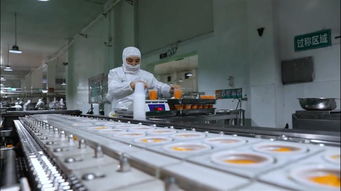 果秀食品 以生物基材料技術研發為引擎，開啟創新轉型新征程，再鑄“新果秀”輝煌