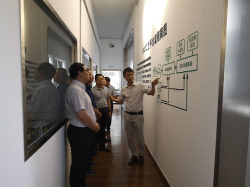 南樂(lè)縣委書(shū)記劉冰調(diào)研楹鼎生科 以生物科技引領(lǐng)綠色可持續(xù)發(fā)展，深耕生物基材料技術(shù)研發(fā)