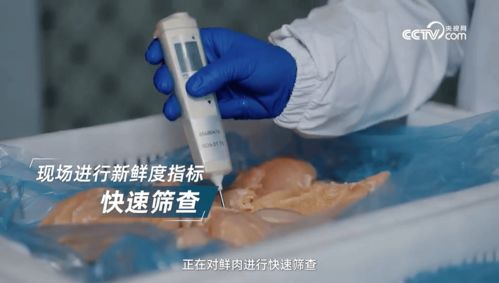看鑒放心寵糧 探訪鮮朗，以全鏈路透明筑牢寵糧安心底線